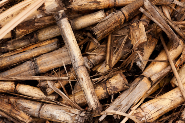 Biomass Solution Image